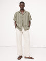 Olive Stripe