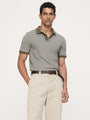 Olive Green Stripe